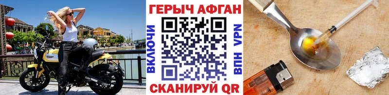 ГЕРОИН хмурый Елизово