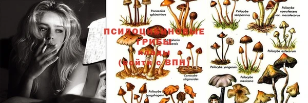 марихуана Заводоуковск